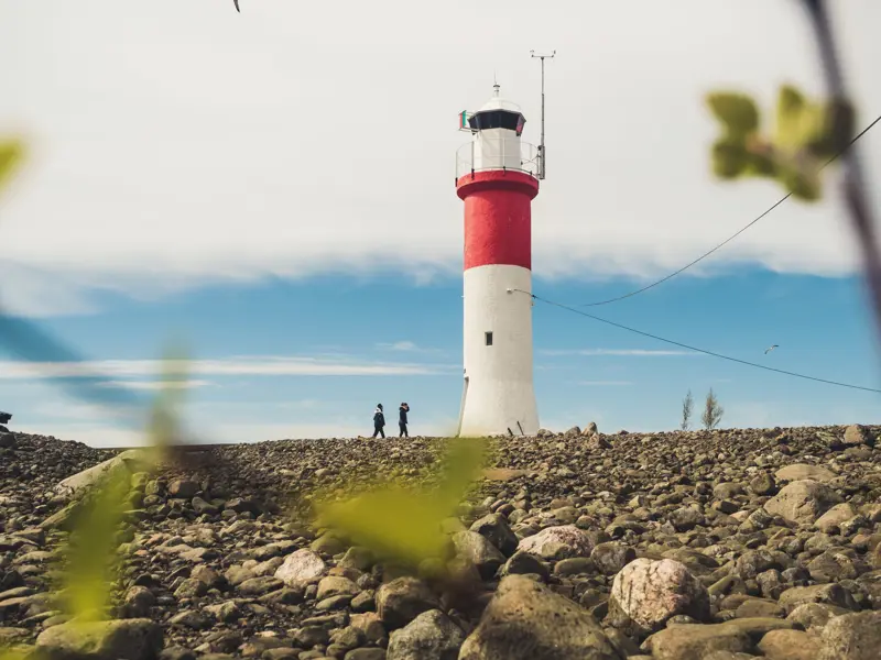 4 P5292677 Gåsören