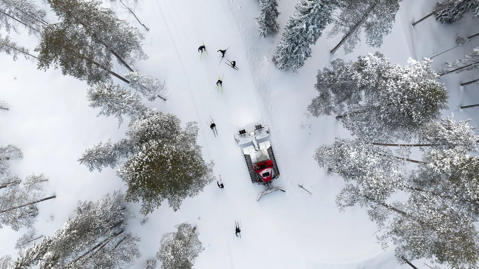 Jw 250131 135411 Fullsize Webb Skidor